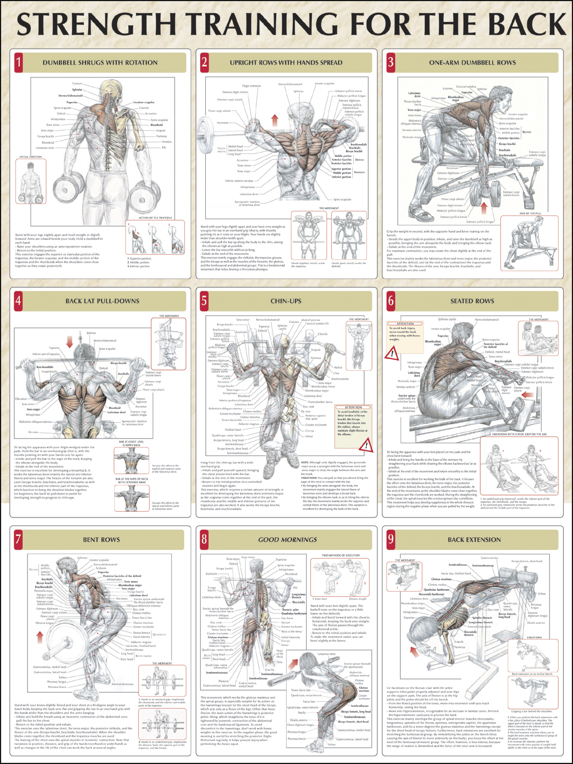 Strength Training Charts Free