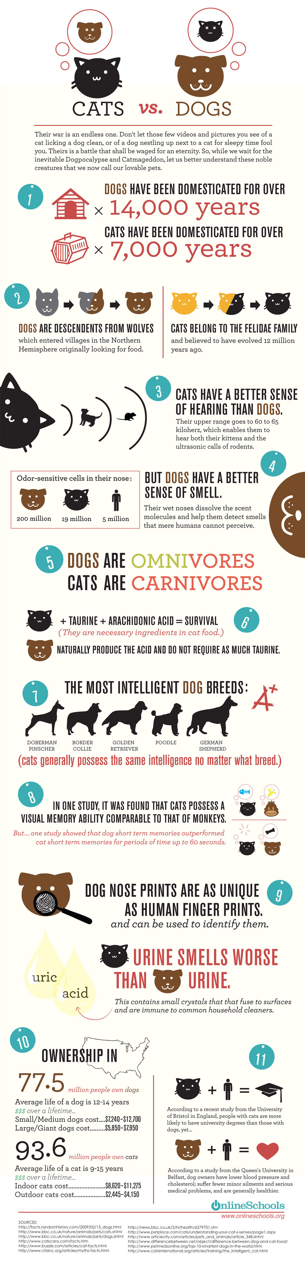 cats_vs_dogs