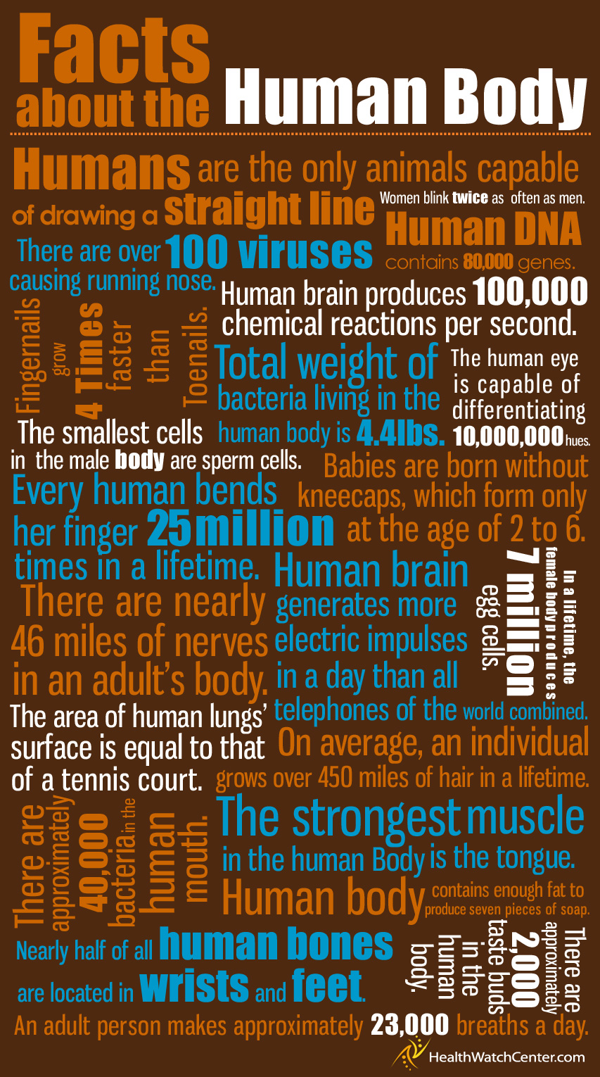 human body facts